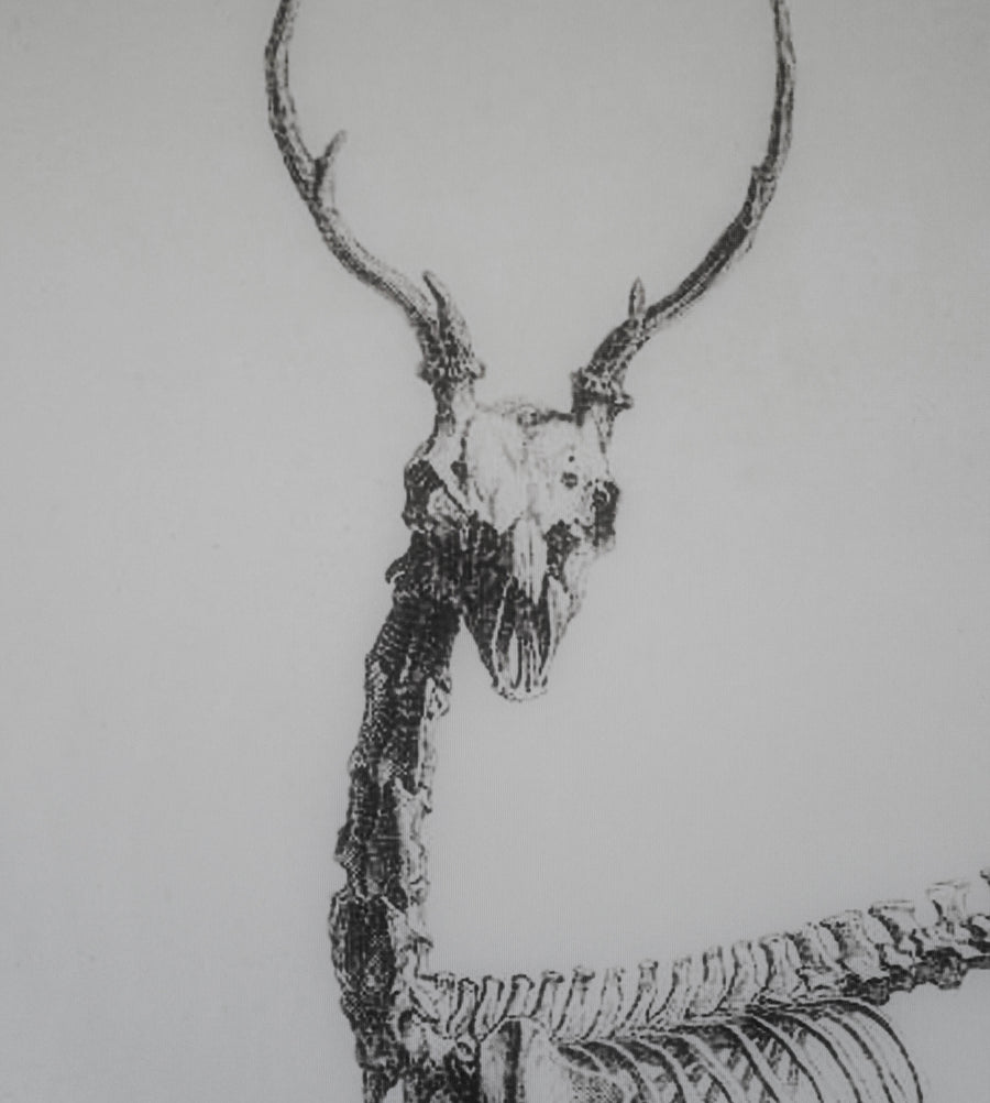 Deer Skeleton Tapestry