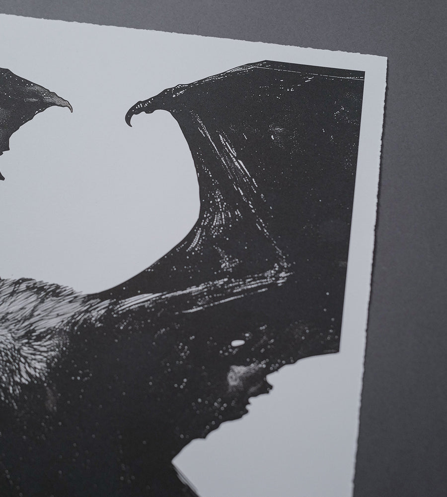 Dark Skies - Print