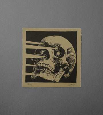 Lazer - High-Quality Print