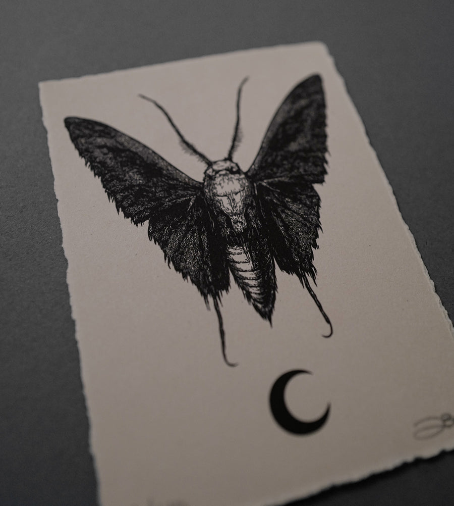 Moth 6 - High-Quality Print