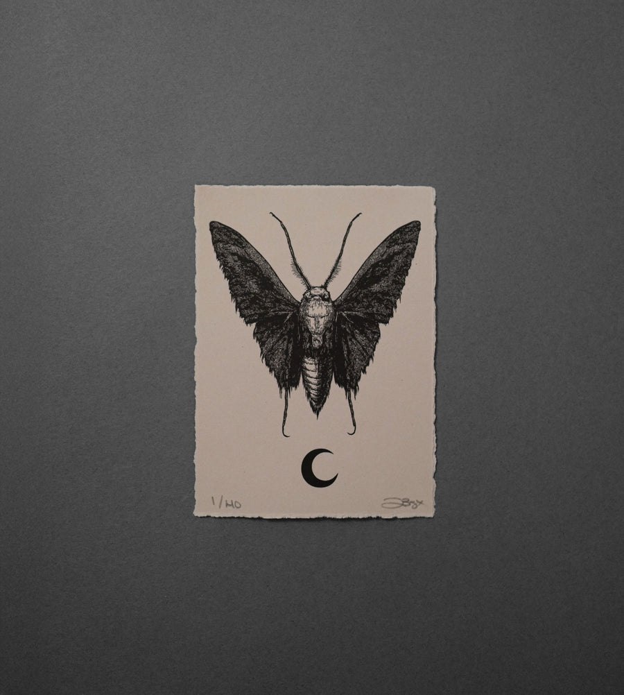 Moth 6 - High-Quality Print