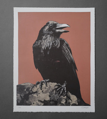 My Raven - Print