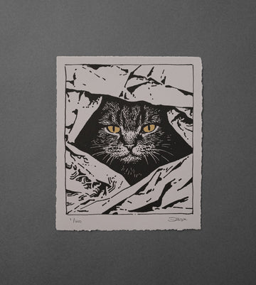 Hidden Cat - High-Quality Print