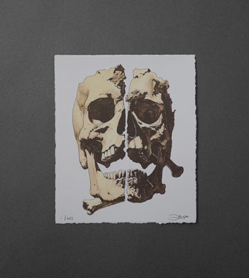 Skull & Bones - High-Quality Print