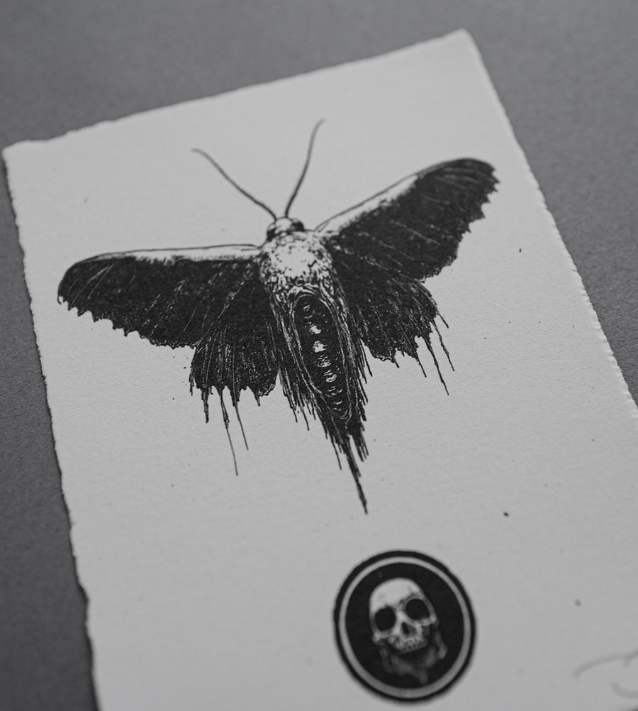 Moth 3 - Print