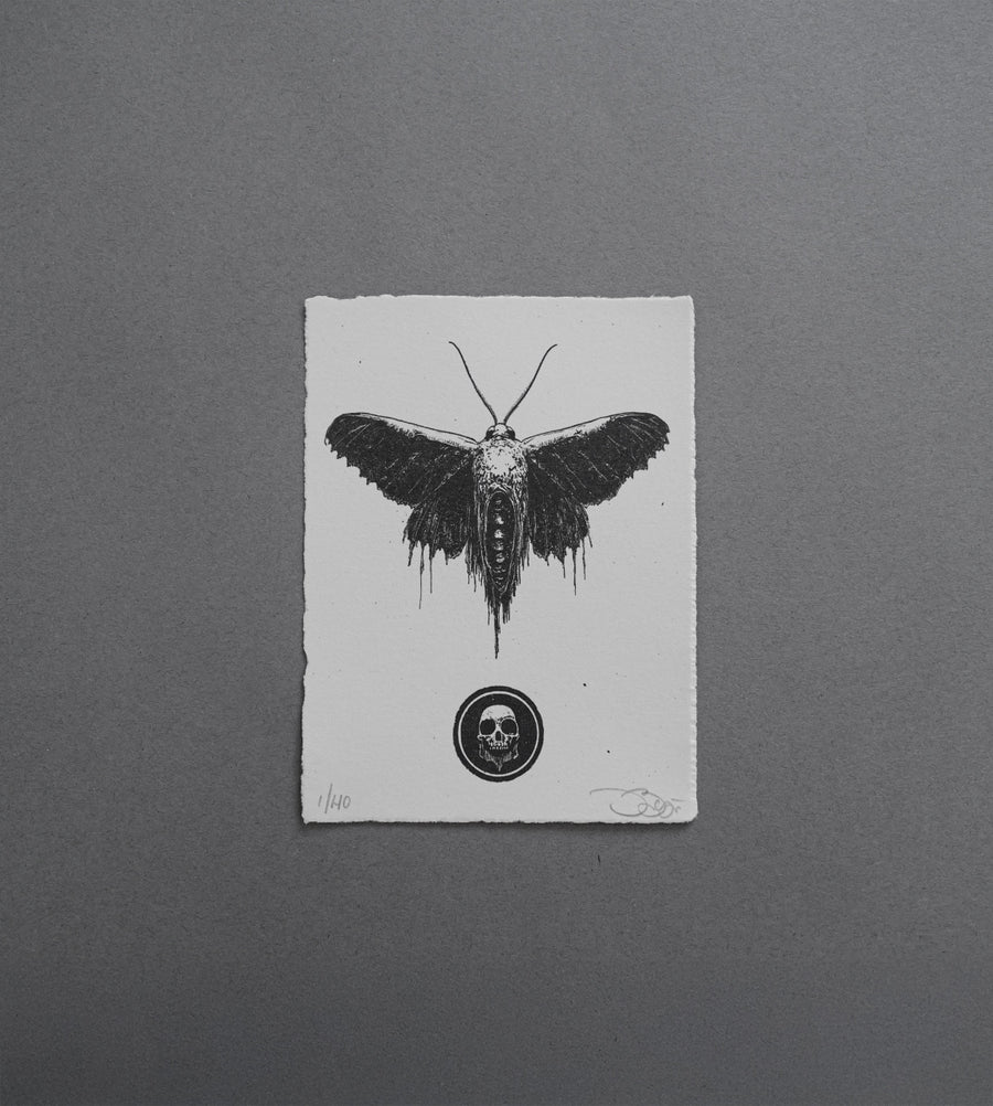 Moth 3 - Print