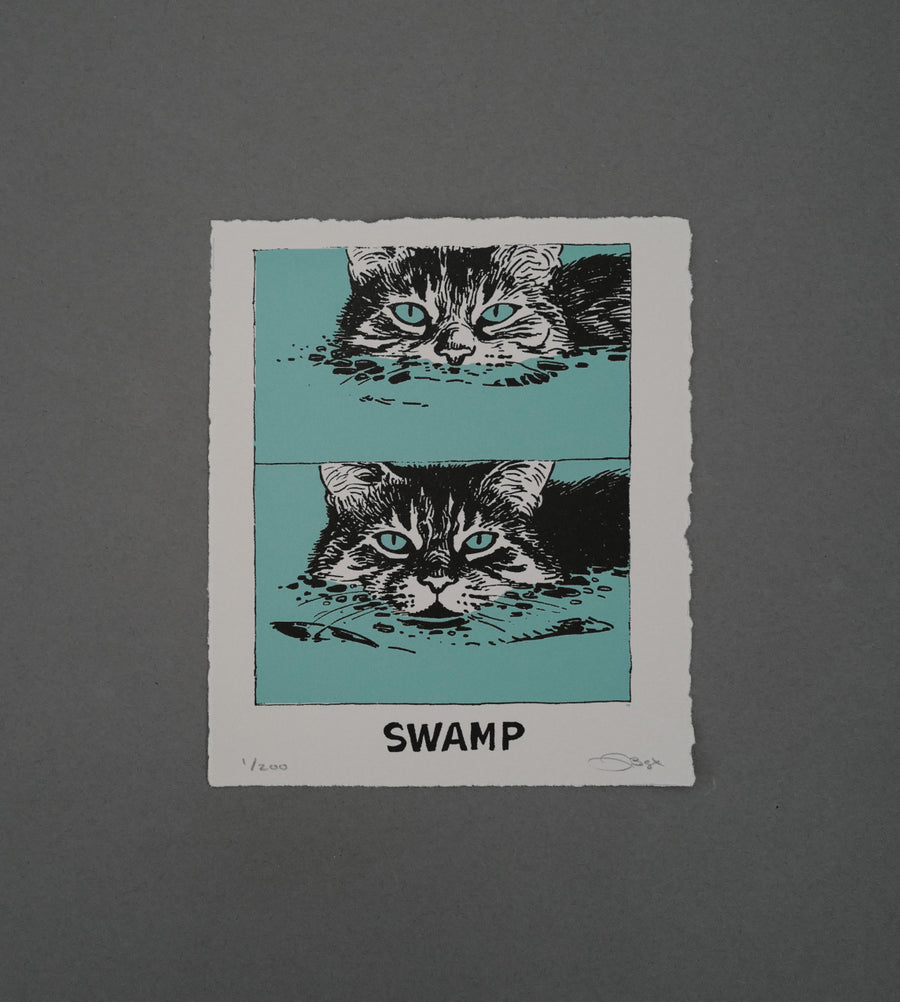 Swamp Print Box - High-Quality Prints