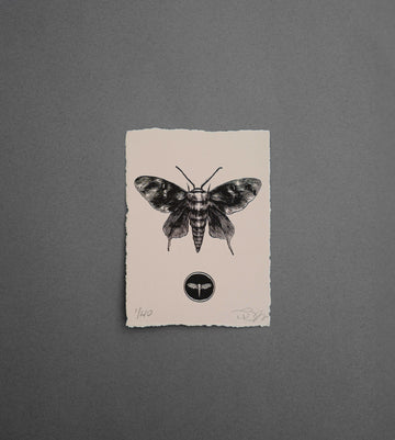 Moth 2 - Print