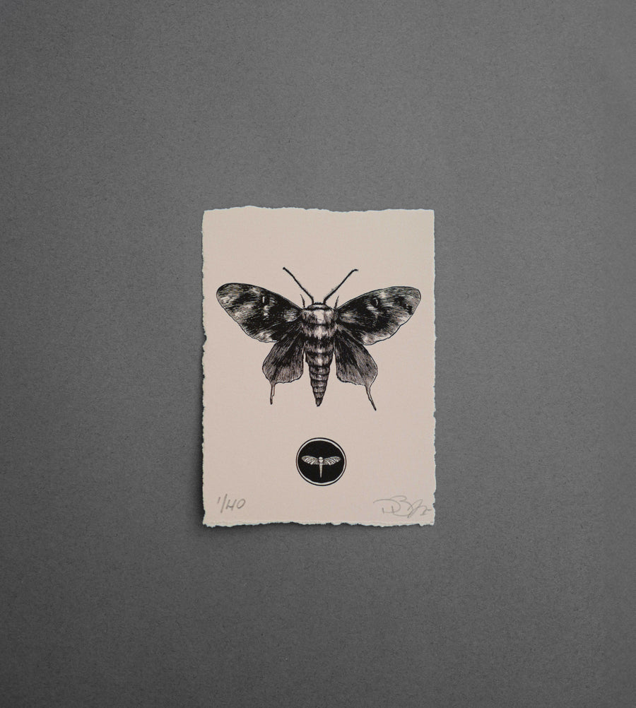 Moth 2 - Print