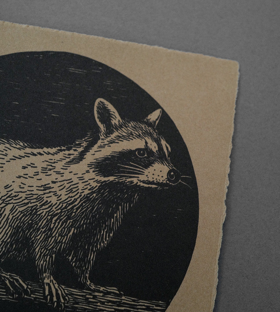 Raccoon Moon - High-Quality Print