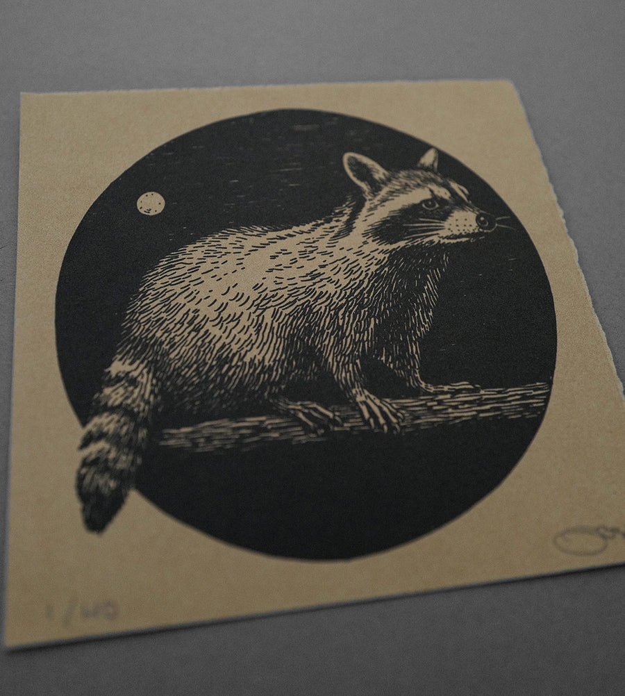 Raccoon Moon - High-Quality Print