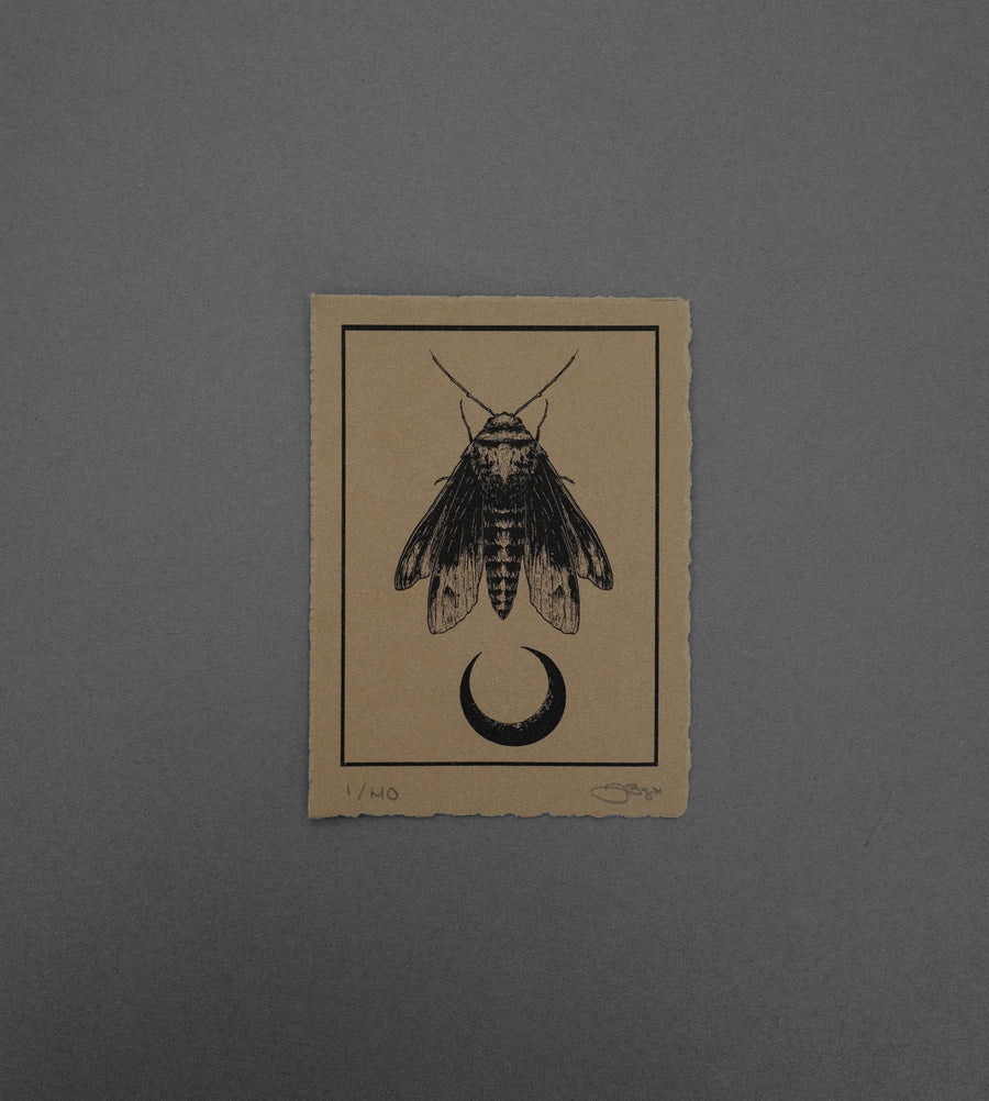 Moth 7  - High-Quality Print