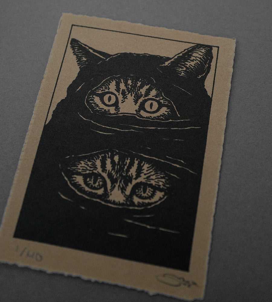 Two Faced  - High-Quality Print