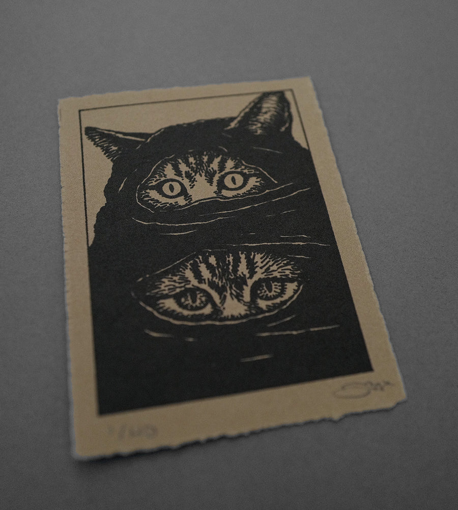 Two Faced  - High-Quality Print