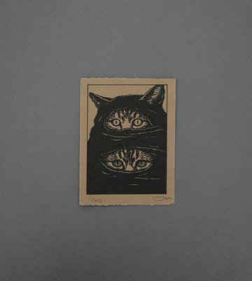 Two Faced  - High-Quality Print