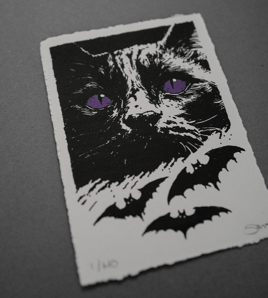 Cats And Bats  - High-Quality Print