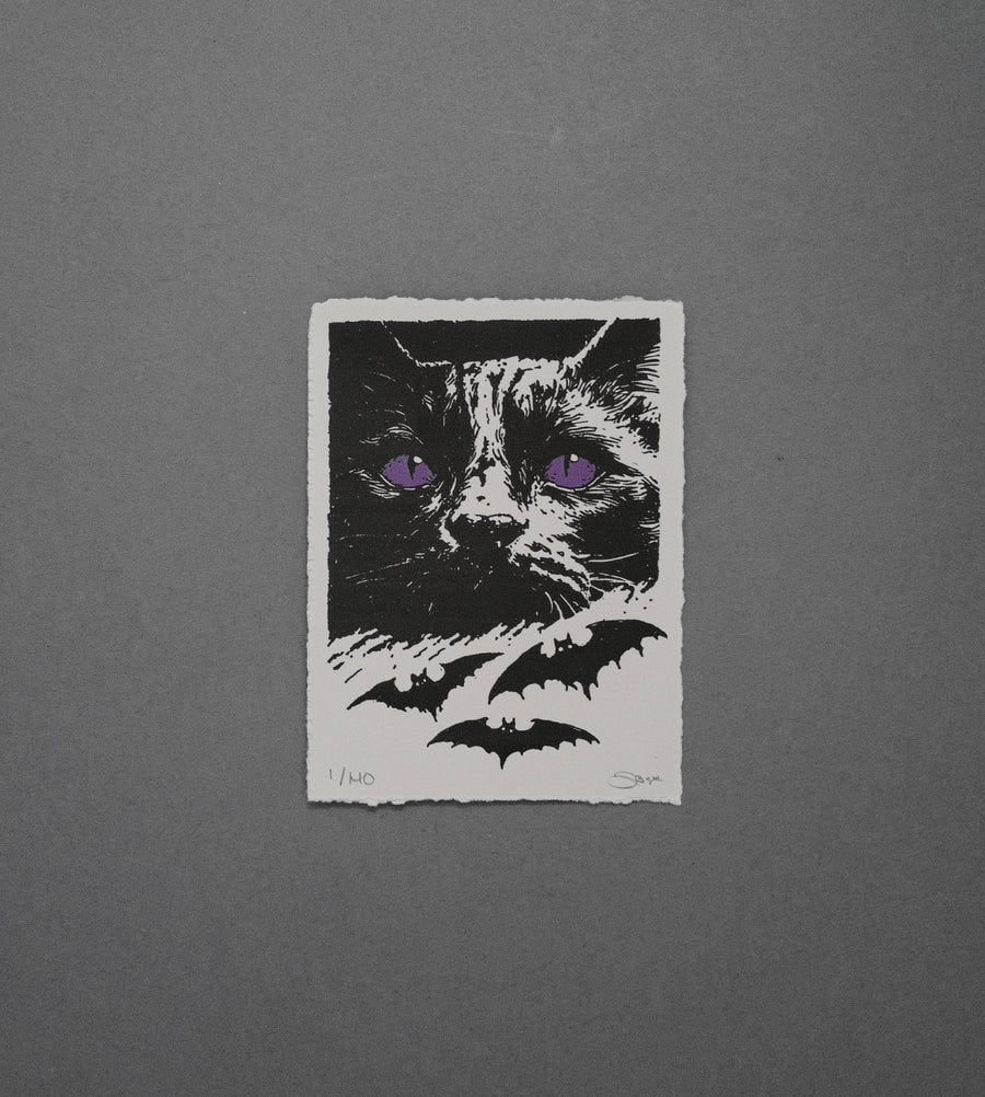 Cats And Bats  - High-Quality Print