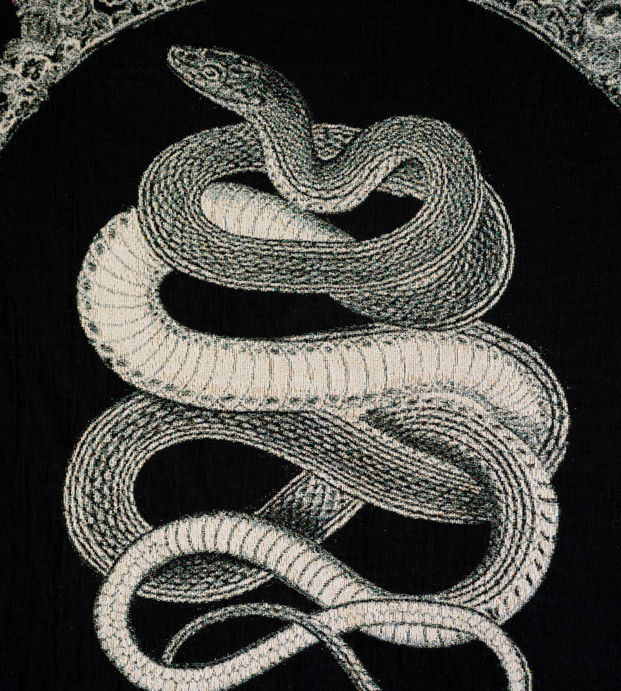 Glass Snake Blanket